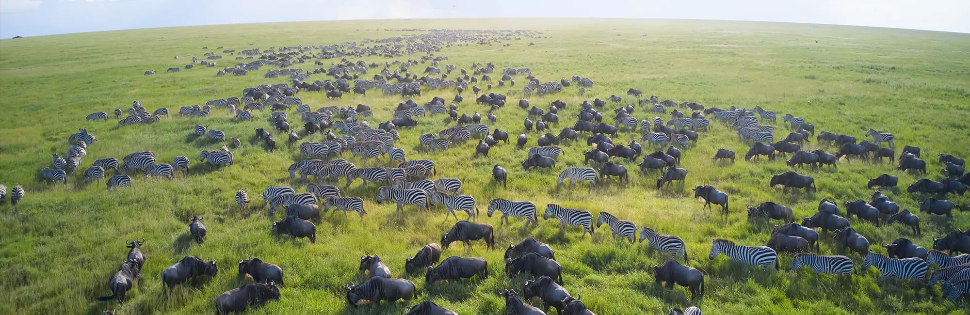 National Geographic Live: Life on the Move