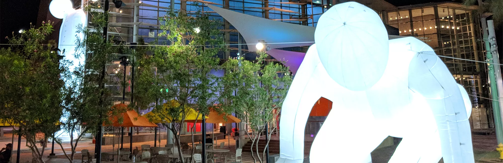 Security and Safety Policies